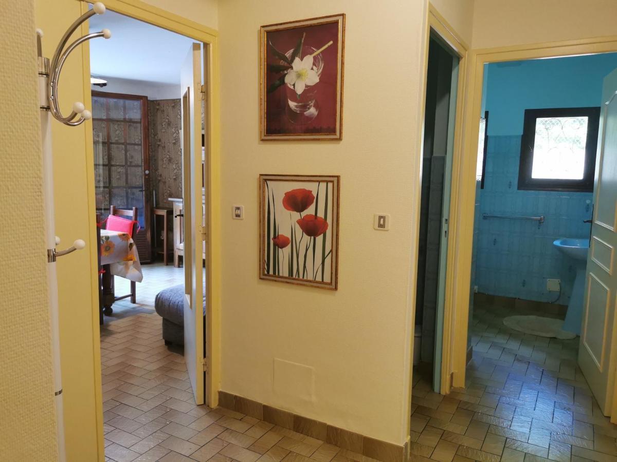 Appartement 48 M2 Avec Jardin Au Rdc Dans Villa A 5 Min A Pied Des Thermes De Vernet-Les-Bains, Location De Samedi A Samedi المظهر الخارجي الصورة