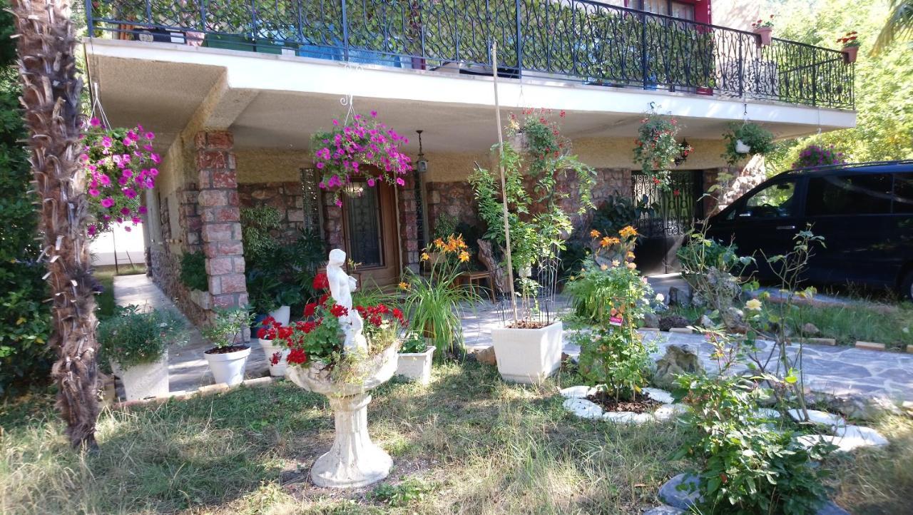 Appartement 48 M2 Avec Jardin Au Rdc Dans Villa A 5 Min A Pied Des Thermes De Vernet-Les-Bains, Location De Samedi A Samedi المظهر الخارجي الصورة
